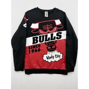 Vintage Hardwood Classics Mens Chicago Bulls Windy City Sweatshirt Size Medium